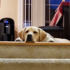 Meet your Posher, Tracy